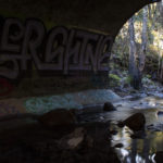 Critique 11