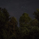 Critique 4