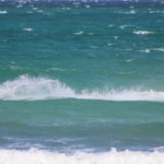 IMG_0147